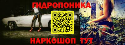 тгк Гусев