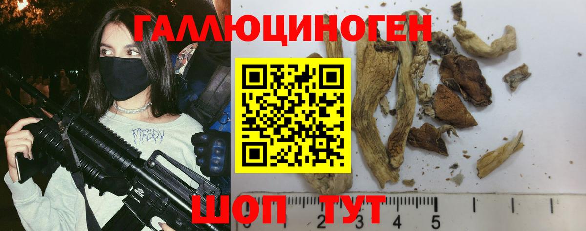 Новороссийск  Галлюциногенные грибы MAGIC MUSHROOMS  Вход с VPN 